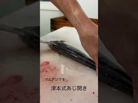 津本式あじ開き方法#shorts