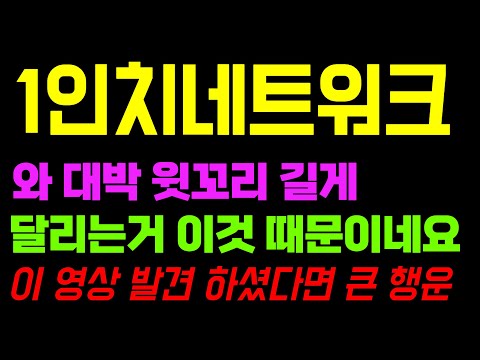 1인치네트워크 코인 전망 저는 유일하게 이렇게 공식적으로 다 증명해서 큰 행운이라고 하는 겁니다