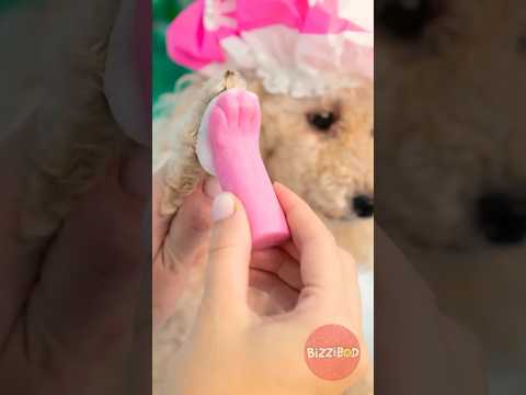 AWW😍 SHE MADE A SPECIAL SOAP FOR A PUPPY🐾