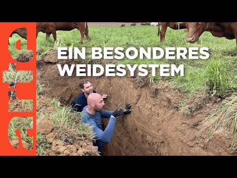 Carbon Farming: In den Boden mit dem Kohlenstoff | Roots (5/5) | Doku HD Reupload | ARTE