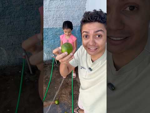 MOLHANDO O CHÃO E LARANJA NASCENDO