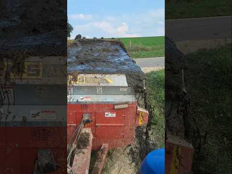 How I get 500 bushel corn! #agriculture #manure #farm farmer #farming #farmlife