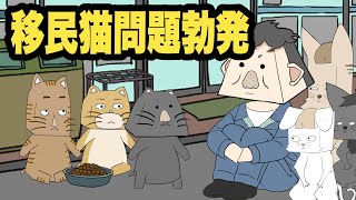 移民猫問題に巻き込まれた地域住民