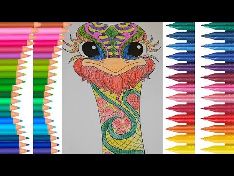 How to draw an ostrich🦃🐣🐪  learn color easy steps for children, beginners