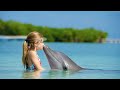 Understanding Dolphin Intelligence