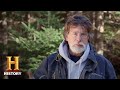 Oak Island Exploration Insights