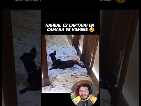 Lo que hizo esta mujer en la madrugada dejó al personal del hotel traumado 👁️🕛  #casoreal  #nahual