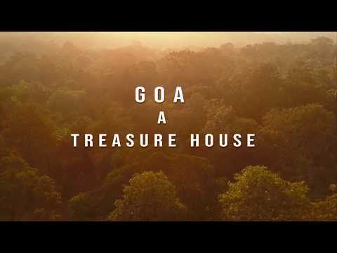 BIRDS OF GOA