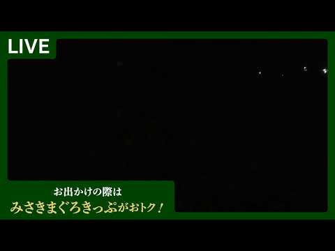 京急沿線開花リレー |ソレイユの丘のひまわり