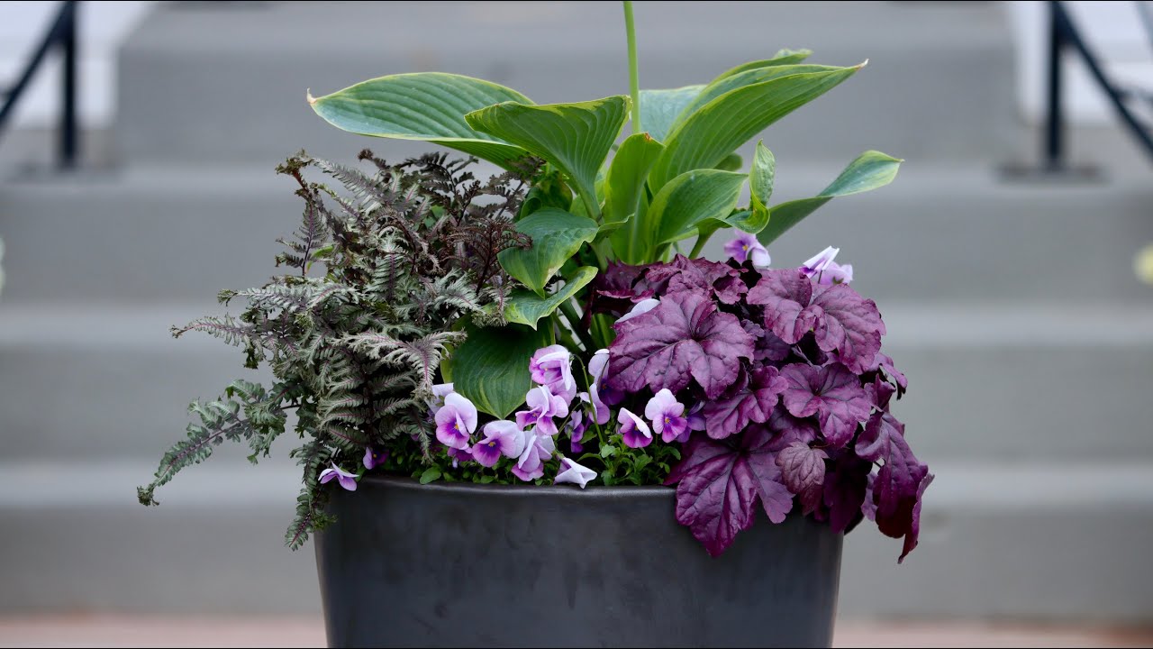 Planting a Part-Shade Container for Our Front Porch!