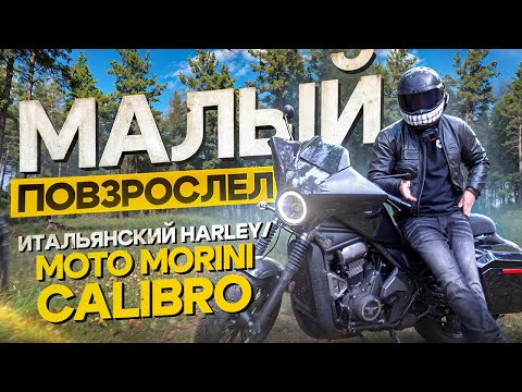 Итальянский Harley для новичков - Moto Morini Calibro