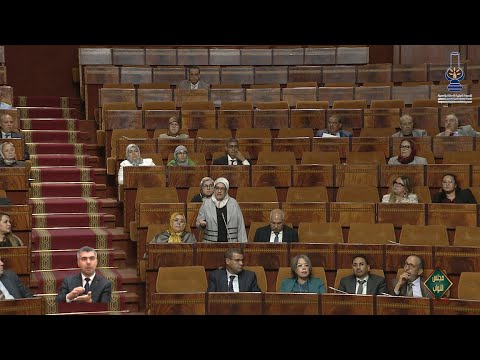 عفيف حول معاناة شباب العالم القروي جراء البطالة وفشل برنامجي فرصة وأوراش
