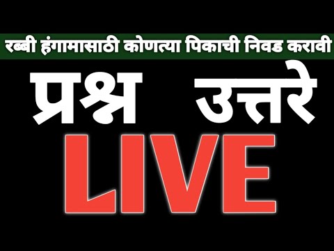 रब्बी हंगामात कोणकोणती पिके घ्यावी?? live