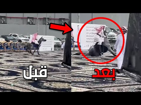 كان يمشي بالخيل وصكوه عين ! 🐎👁 حقيقة؟