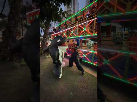 image para ilustrar o artigo