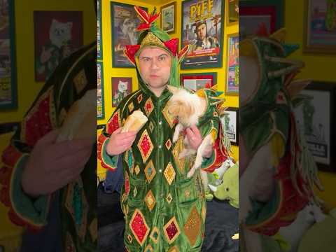 10 years of sandwich eating