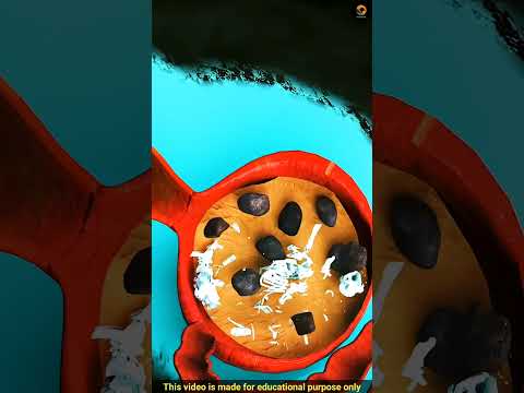 Why Birds Eat Stone by Factz Riyad #shorts