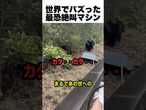 世界でバズった最恐のマシン