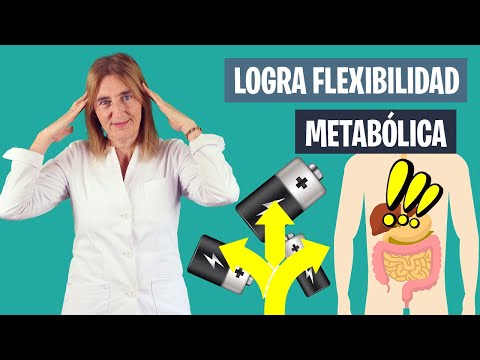 Consigue FLEXIBILIDAD METABÓLICA de esta forma | Energía para deportistas | Nutrición deportiva