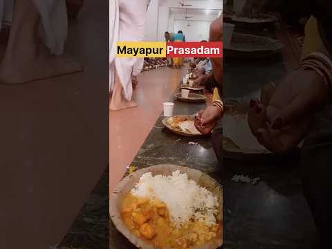 Mayapur Prasadam 🙏👍 #shorts #mayapur #food #prasad