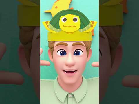 ¿Tortuga Marina, dónde estás? #bebefinn #shorts