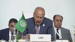 أبو الغيط: استمرار إسرائيل في ممارسة الجرائم دون حساب شجعها على توسيع دائرة إجرامها