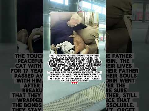 Father, Peacefully Dozing Next To Robin The Cat. They Have Been Together For 17 Years.