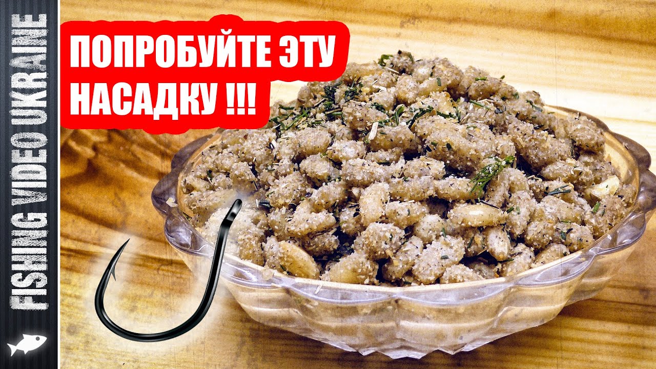 Супер уловистая насадка из перловки по особому рецепту
