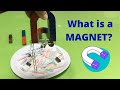 Exploring the Basics of Magnets