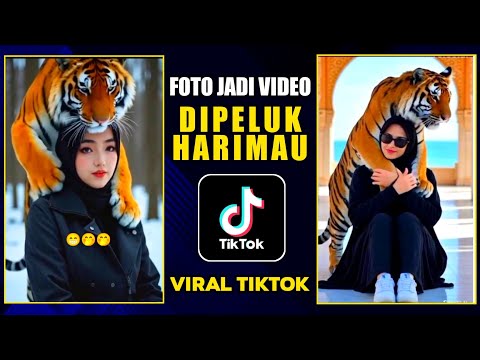 CARA MEMBUAT VIDEO HARIMAU NAIK KE PUNDAK VIRAL DI TIKTOK