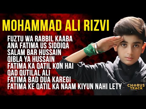 Mohammad Ali Rizvi Nohay 2024 | Full Album