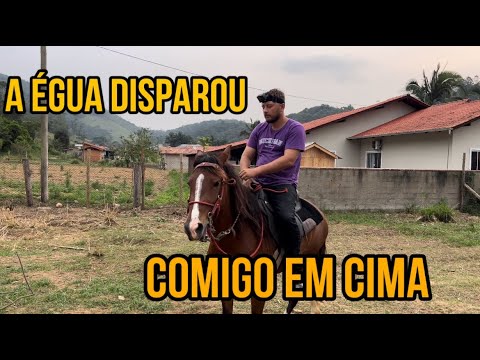 COMPREI UMA EGUA E ELA DISPAROU - Weligton Silva