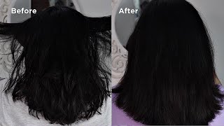 Hair Update on  L'Oreal Paris Hyaluron Moisture Range!