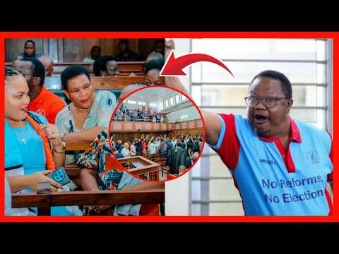 WANACHAMA WAMWAGA MACHOZI LISSU KUTOPEWA CHAKULA | KESI YAHAIRISHWA KWA MARA NYINGINE