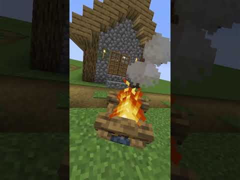 Clear cobwebs inside the house.