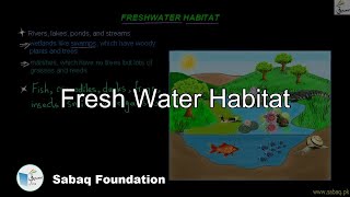 Fresh Water Habitat