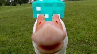 Survival MCPE RezaAli