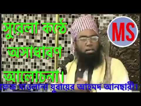 হাফেজ মাওলানা যুবায়ের আহমদ আনছারী।Allama Zubair Ahmed Ansari.