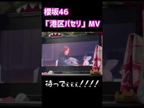 オタクは常に目が足りないので、情報処理能力の高さが求められてる気がします💦#櫻坂46 #武元唯衣