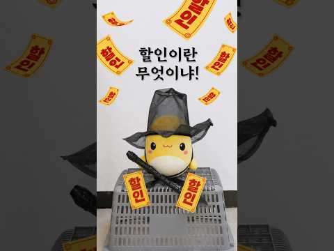 고래잇페스타란 무엇이냐~?🎵