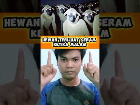 HEWAN TERLIHAT SERAM KETIKA MALAM