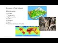 Genetic Variation and Natural Selection