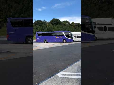 #shorts Kバス　酒々井パーキングエリア