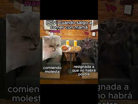 Lo que pasa cuando salgo a comer con mamá #storytime #gatitos #cat #fypシ゚viral #gatitosgraciosos