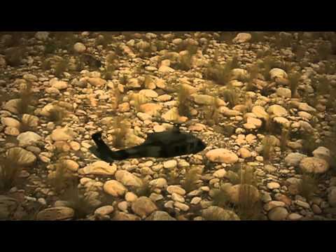 ALIGN UH-60 黑鷹 遙控直升機