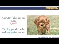 Pronunciation and Color Vocabulary
