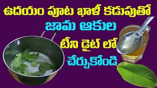 ఉదయం పూట  ఖాళీ కడుపుతో జామాకుల టీని డైట్ లో చేర్చుకోండి..  టీ, కాఫీలకు గుడ్ బై చెప్పండి..