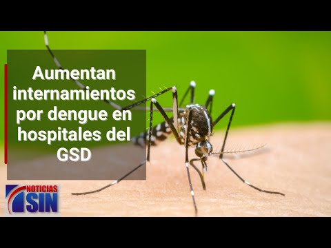 Aumentan internamientos por dengue en hospitales del GSD