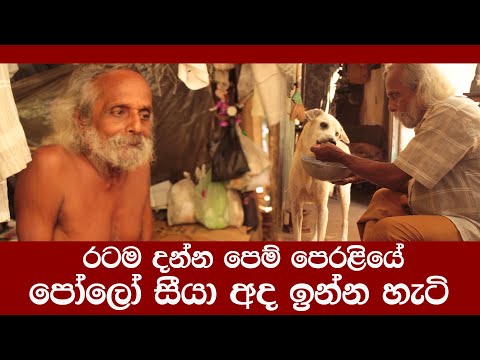 රටම දන්න පෙම් පෙරළියේ පෝලෝ සීයා අද ඉන්න හැටි| සැනට් දික්කුඹුර|Sanet Dikkumbura