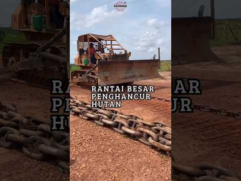 Buldozer dan Rantai Besar Penghancur Hutan #shorts